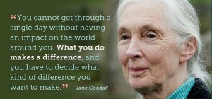 Jane Goodall
