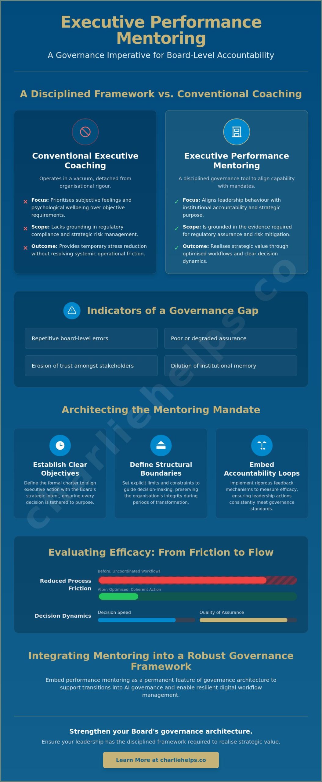 Executive Performance Mentoring: A Case Study in Governance and Accountability